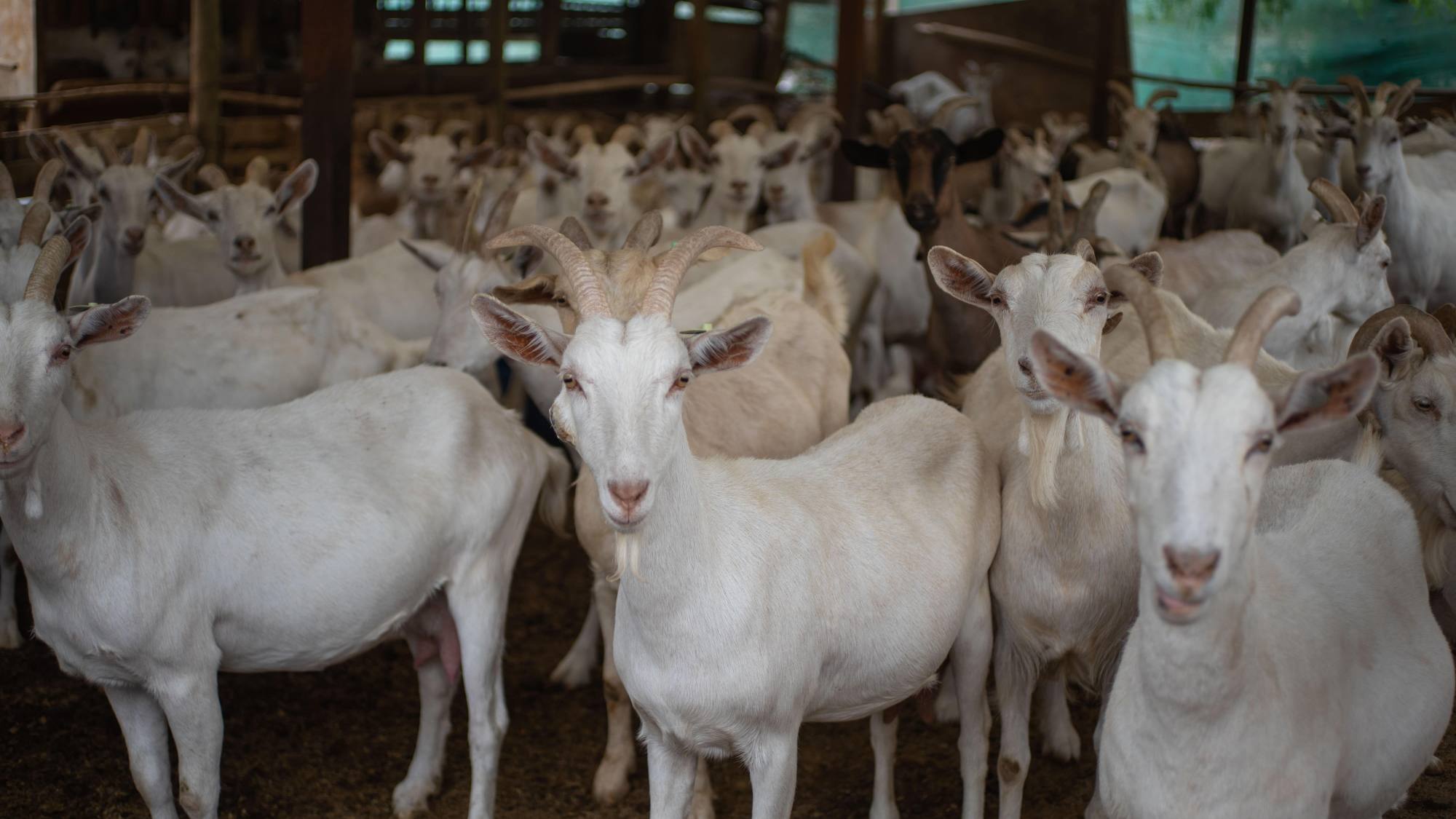 DSC1464 min 1, EntrepreNerd