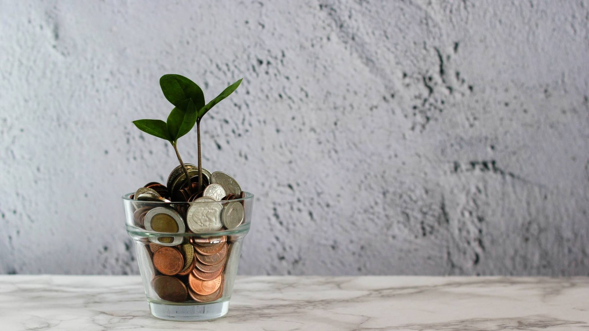 micheile dot com f030K9IzpcM , Unsplash