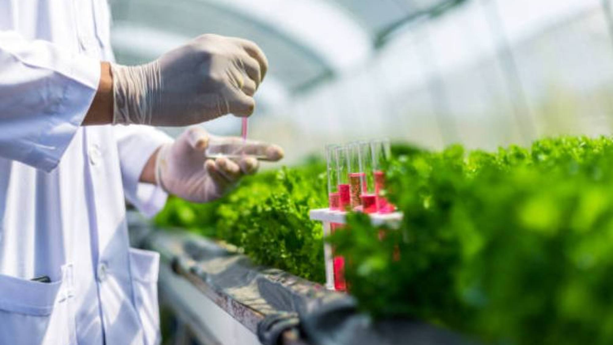 biotech pic, EntrepreNerd