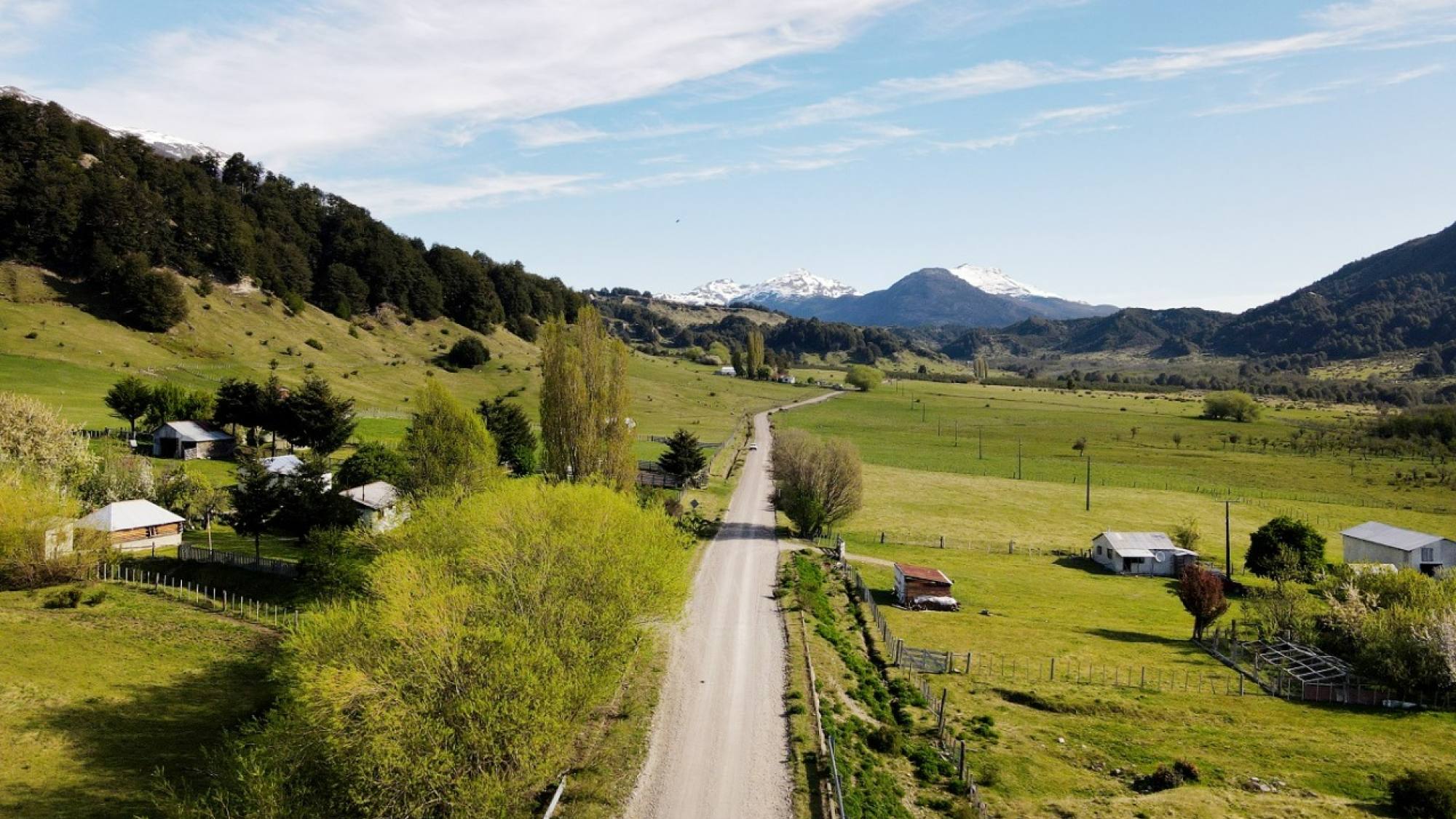 Palena 1, EntrepreNerd