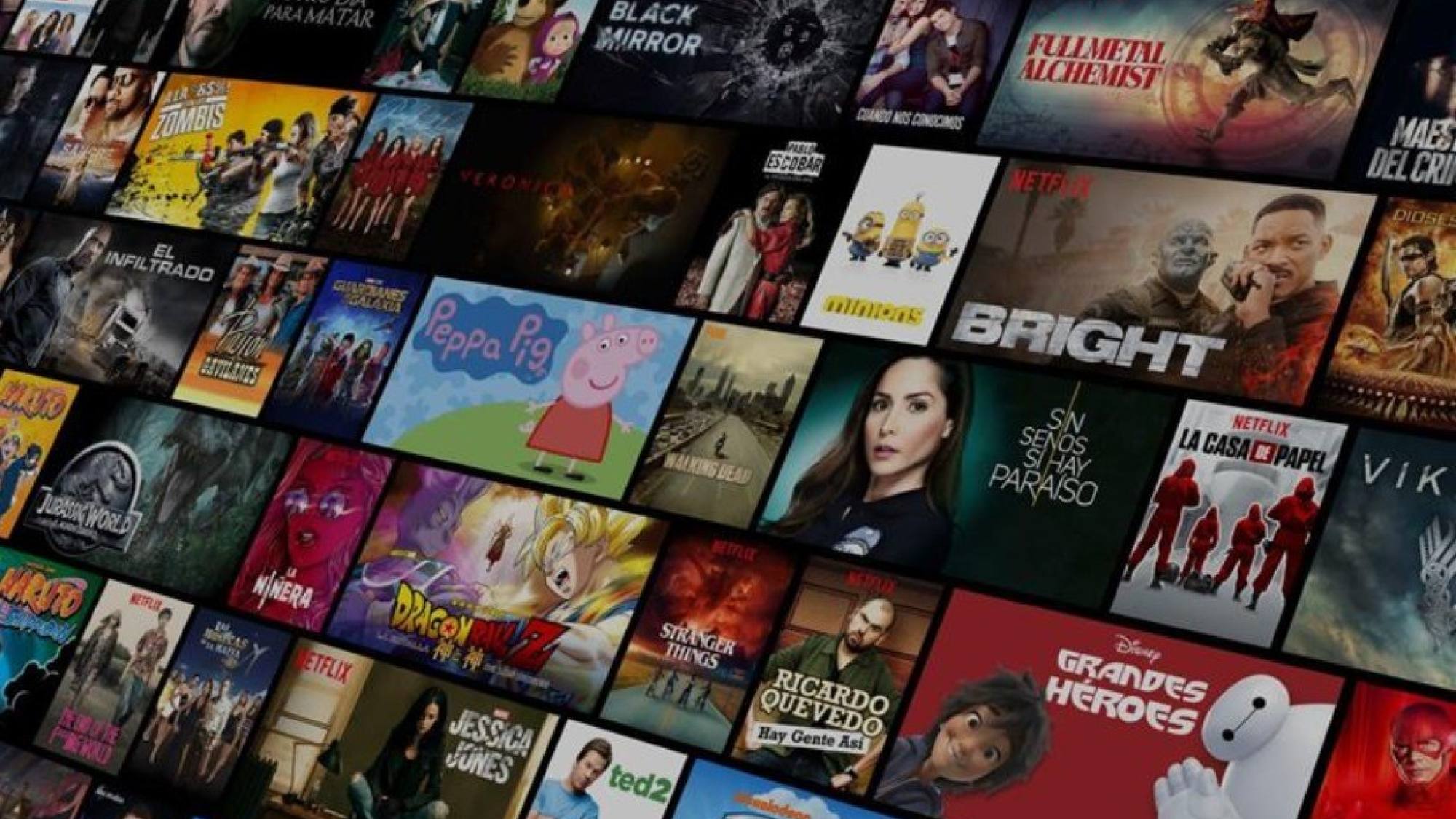 Netflix, EntrepreNerd