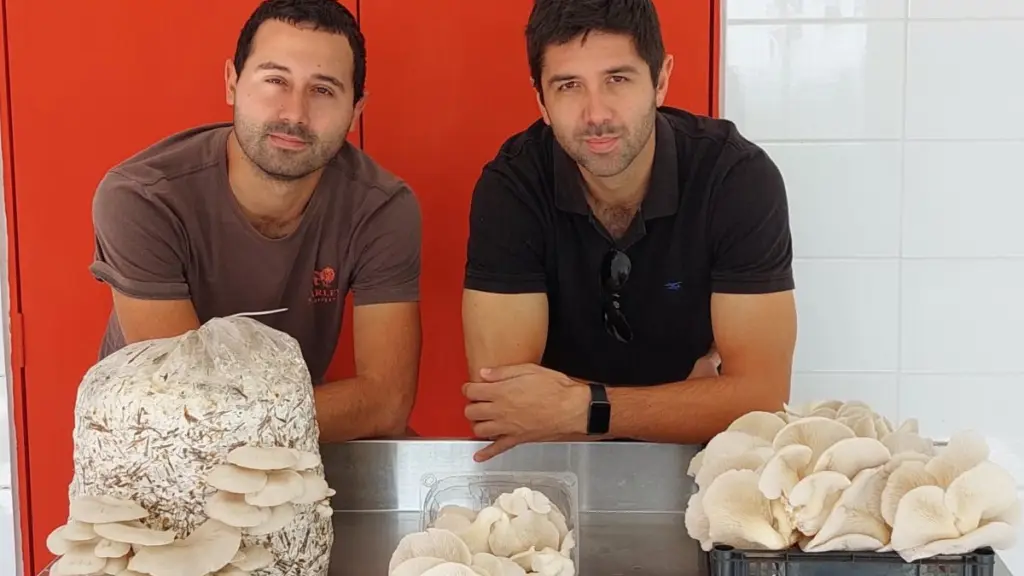 20220408 100151 e1650462026257 ,EntrepreNerd