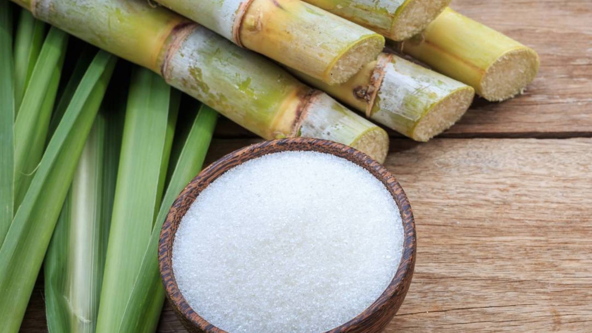 CALZADO SUSTENTABLE MIKES LRMCOMUNICACIONES 2 e1651201190123, EntrepreNerd