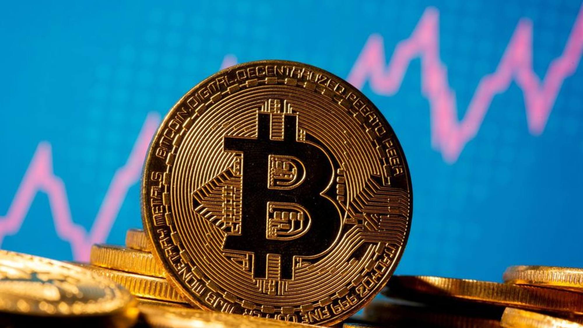 Foto Cripto, EntrepreNerd