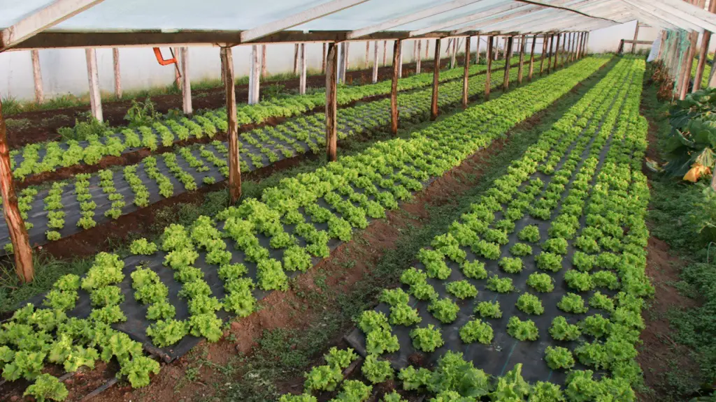 Subsecretario Puerto Natales 2 ,EntrepreNerd