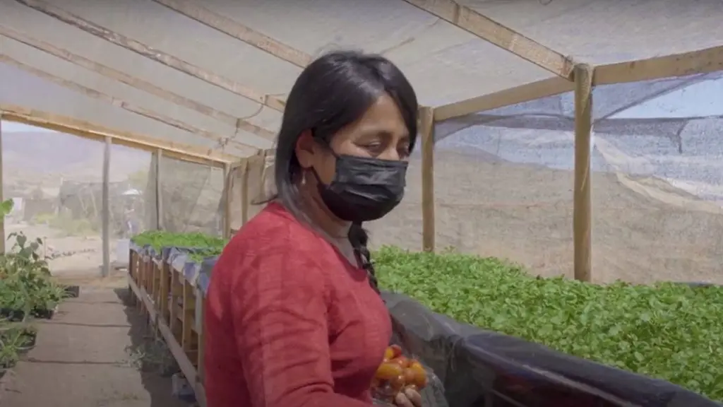 Imagen1 ,EntrepreNerd