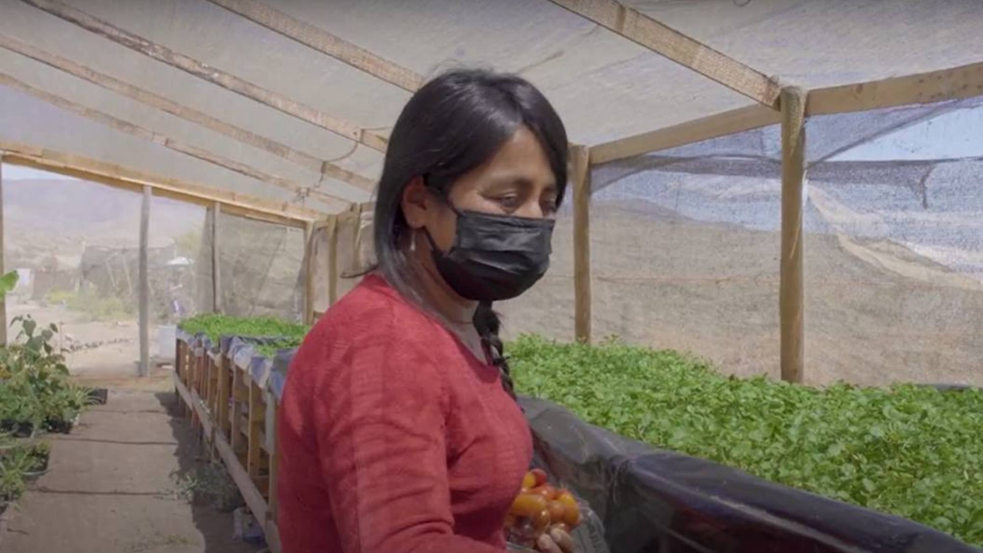 Imagen1, EntrepreNerd