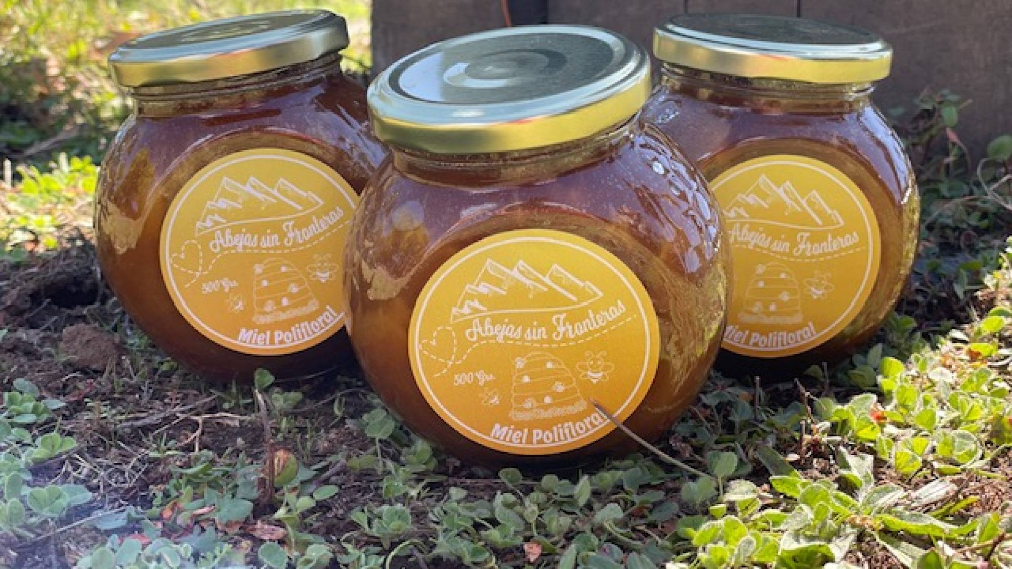 foto1 3, EntrepreNerd