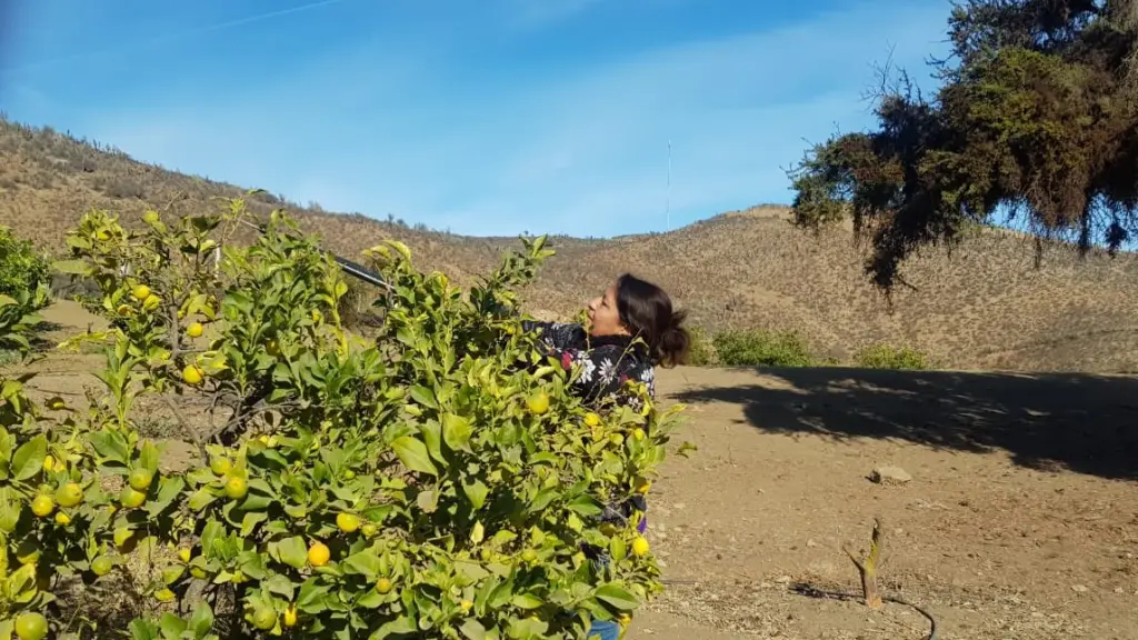 WhatsApp Image 2022 05 13 at 5 ,EntrepreNerd