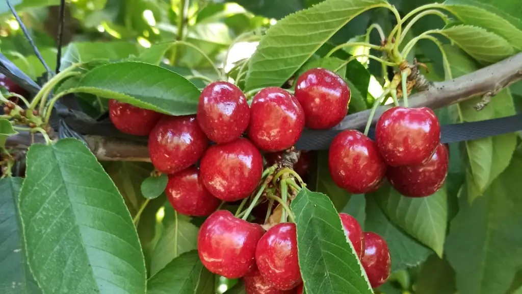 foto 3 e1654694526687 ,EntrepreNerd