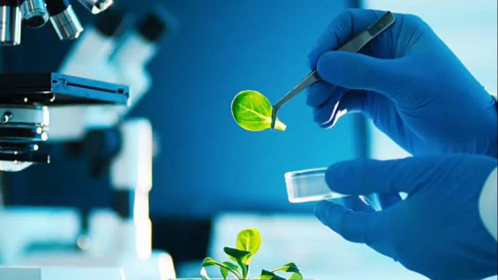 TGLbiotech1 ,EntrepreNerd