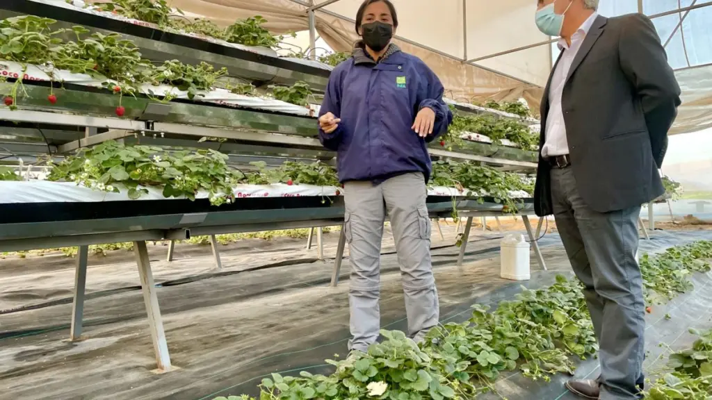 IMG 0522 1 e1655931436650 ,EntrepreNerd