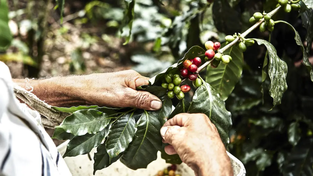 PH142395 ,EntrepreNerd