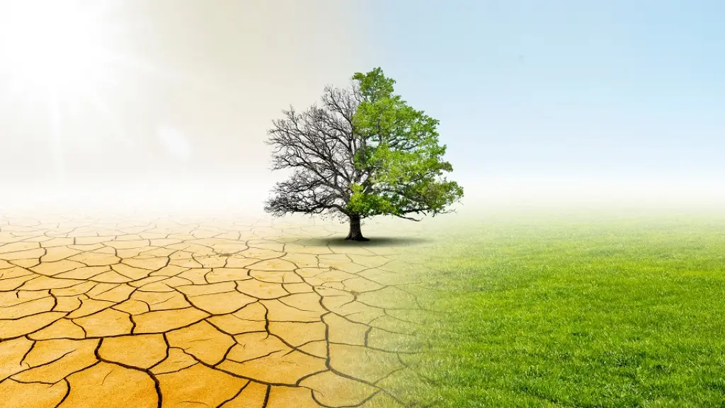 foto1 6 ,EntrepreNerd