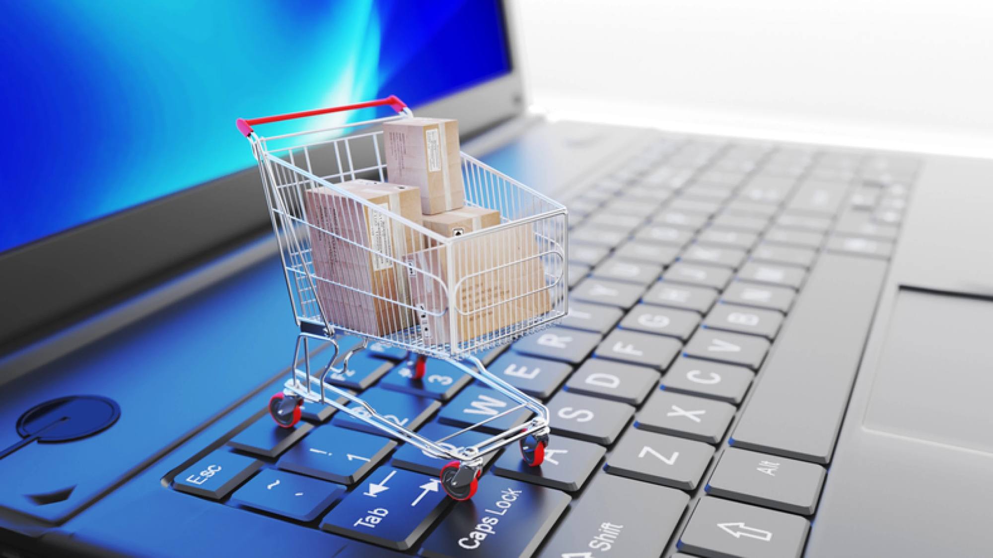 Pymes en Línea 1, EntrepreNerd