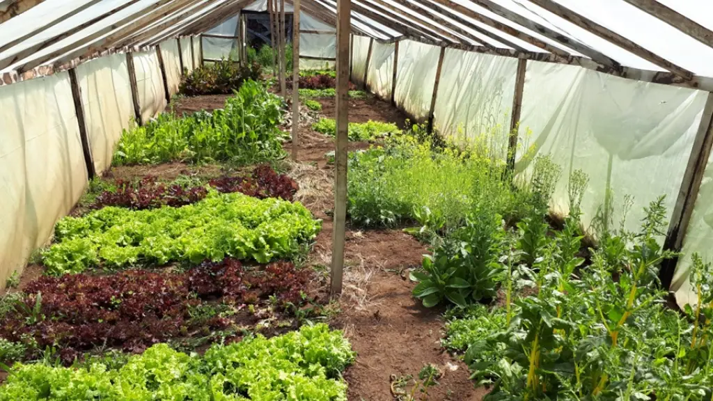 Agroecología Foto2 ,EntrepreNerd