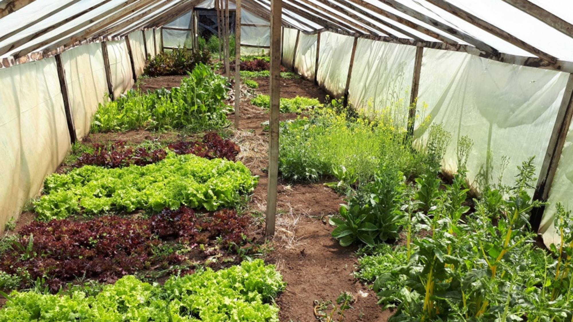 Agroecología Foto2, EntrepreNerd