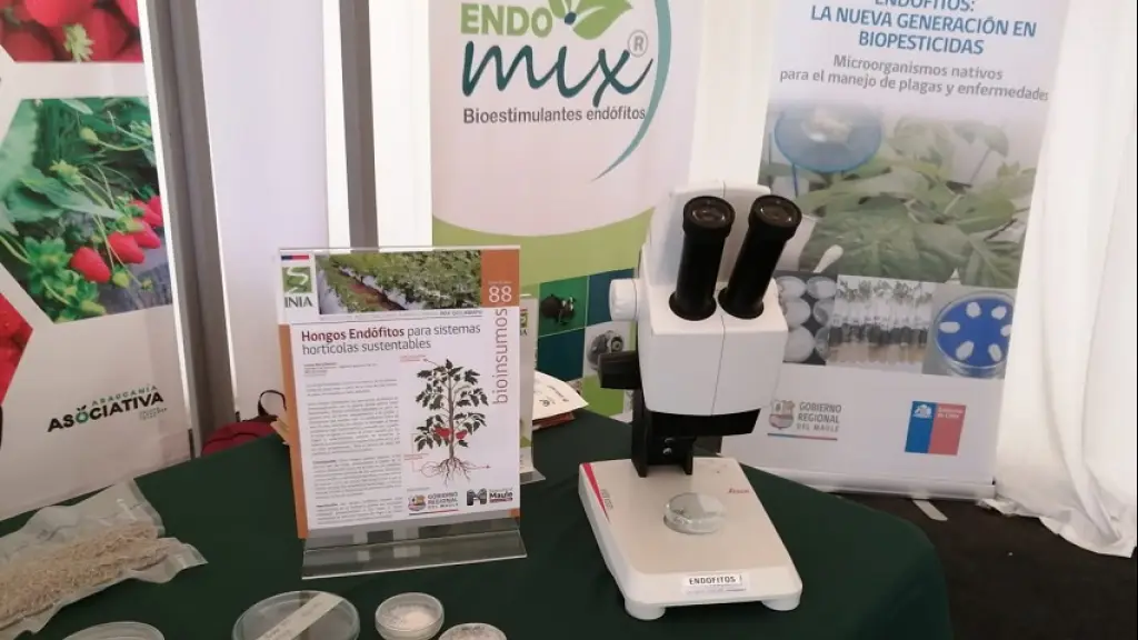 Bioinsumos 2 ,EntrepreNerd