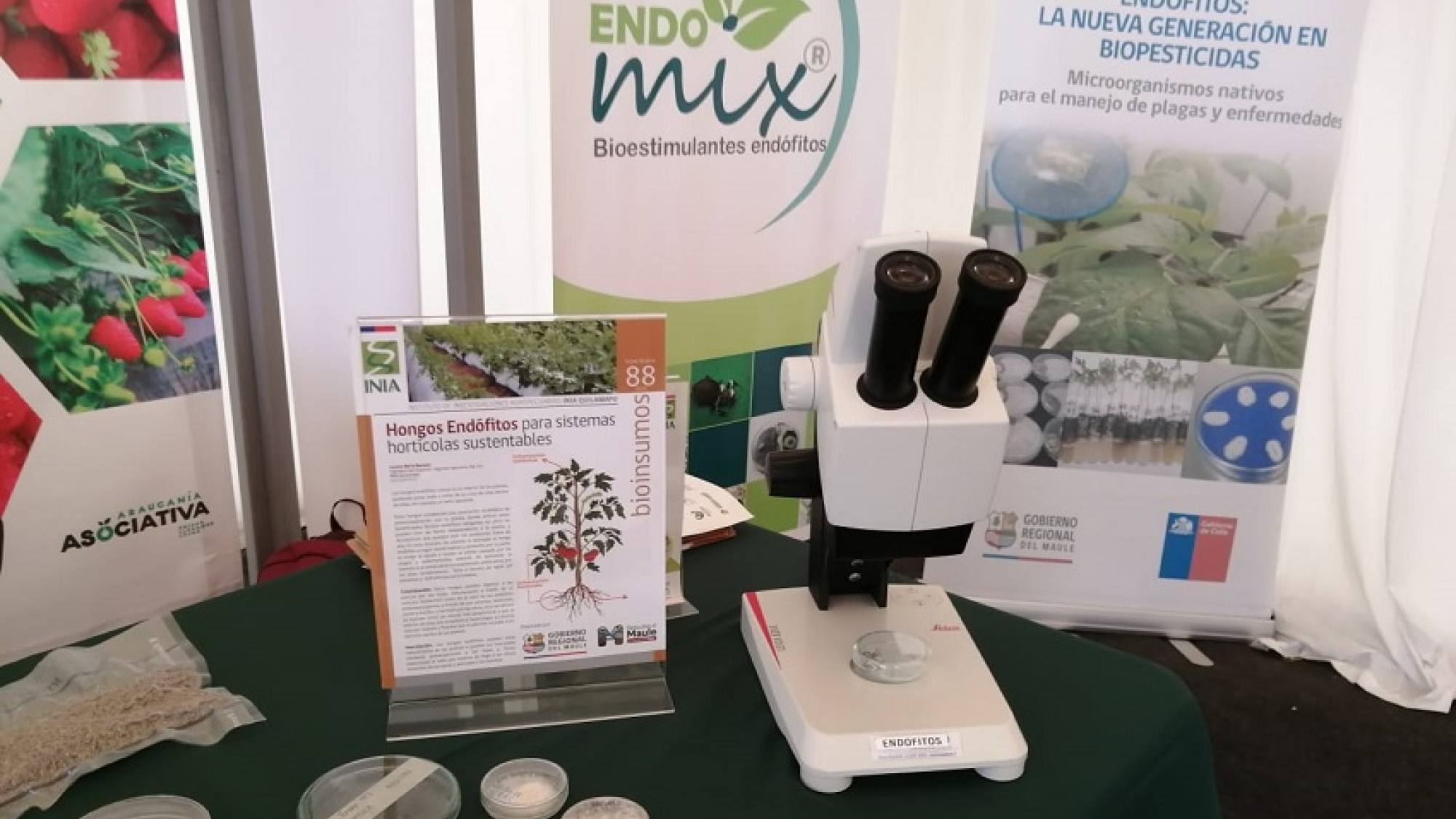 Bioinsumos 2, EntrepreNerd