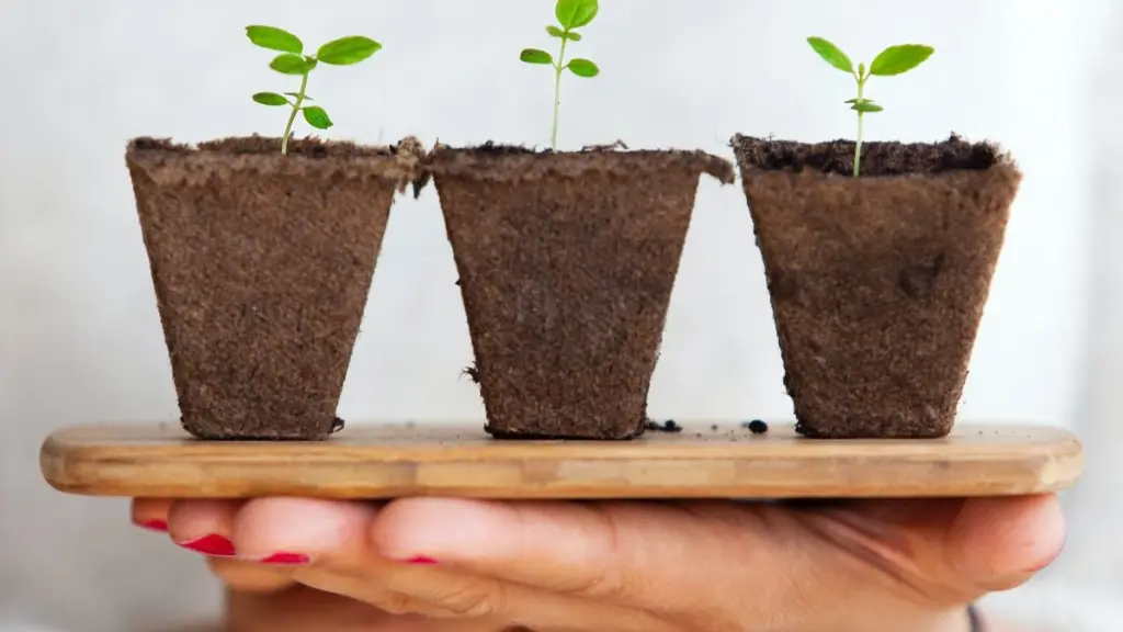 daniel oberg sEApBUS4fIk  e1662653198362 ,Unsplash