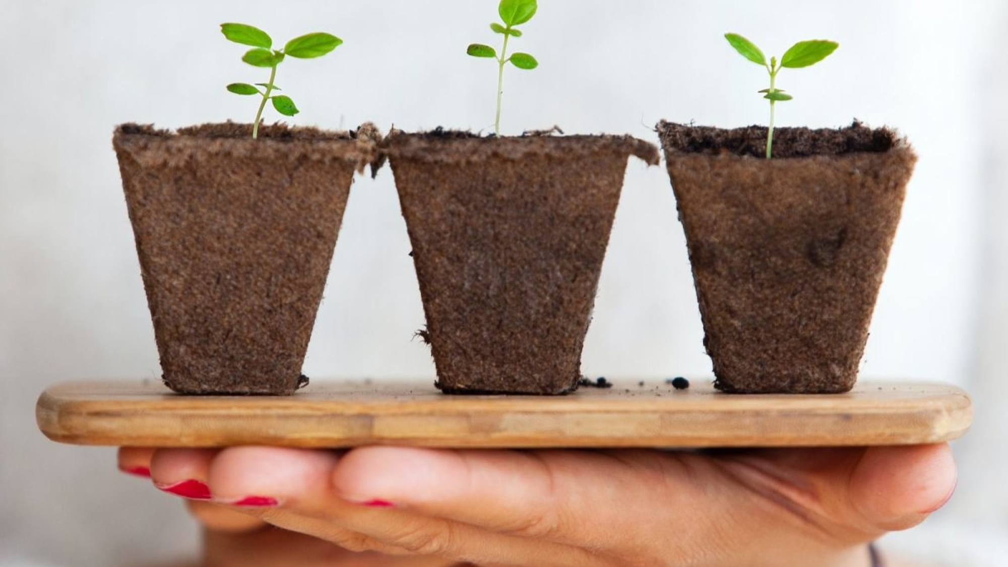 daniel oberg sEApBUS4fIk  e1662653198362, Unsplash