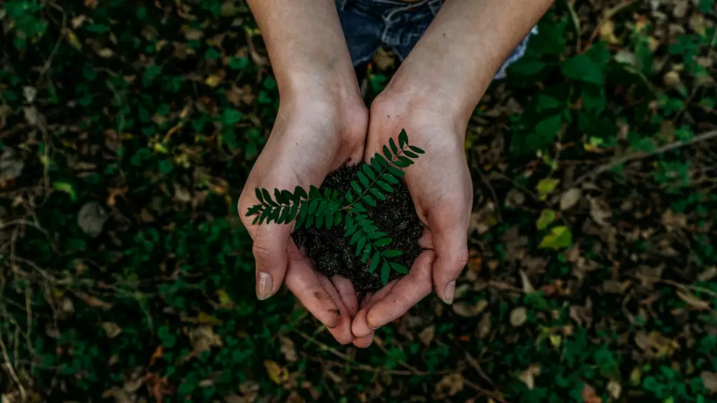 noah buscher x8ZStukS2PM  1 ,Unsplash