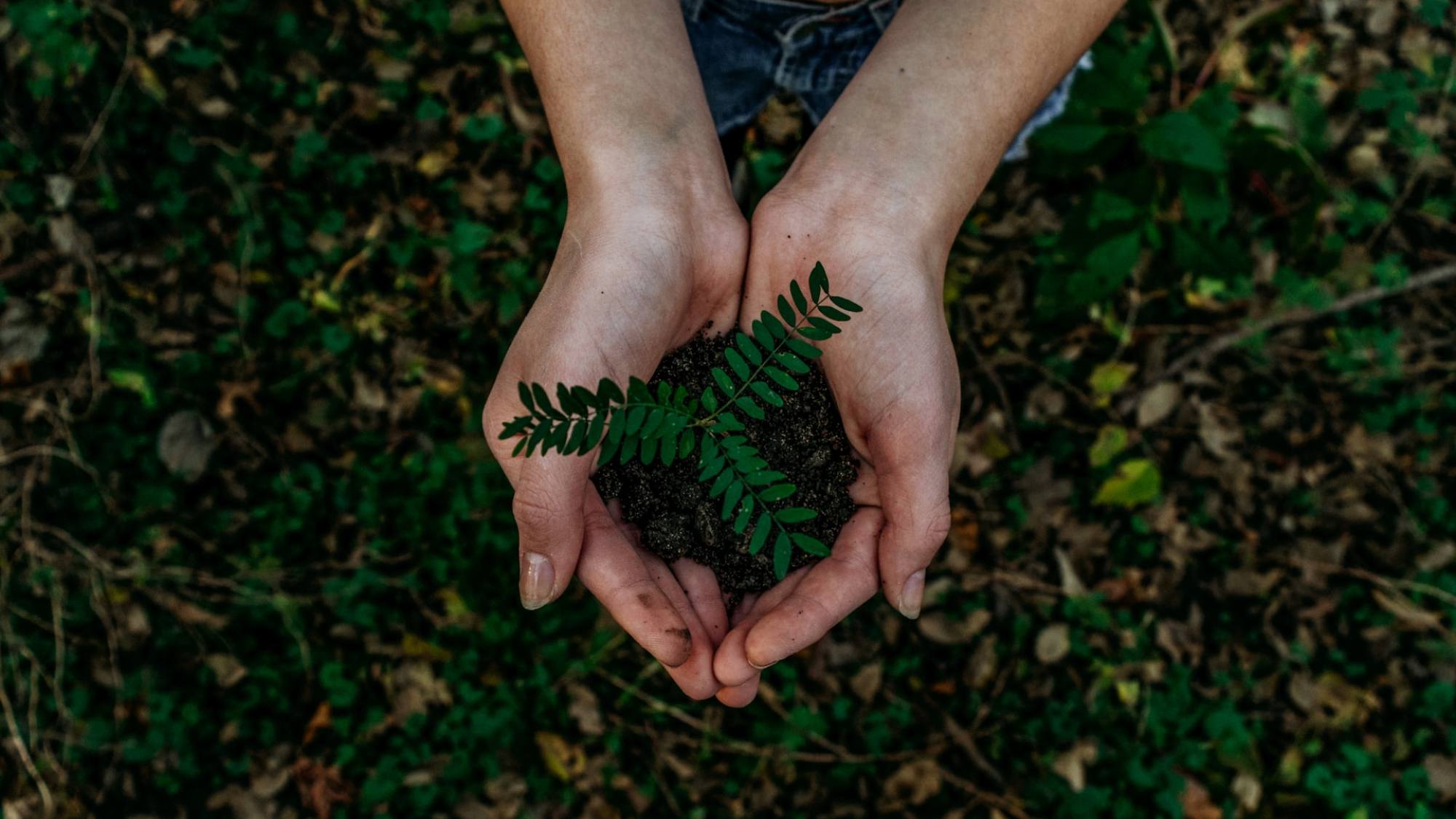 noah buscher x8ZStukS2PM  1, Unsplash