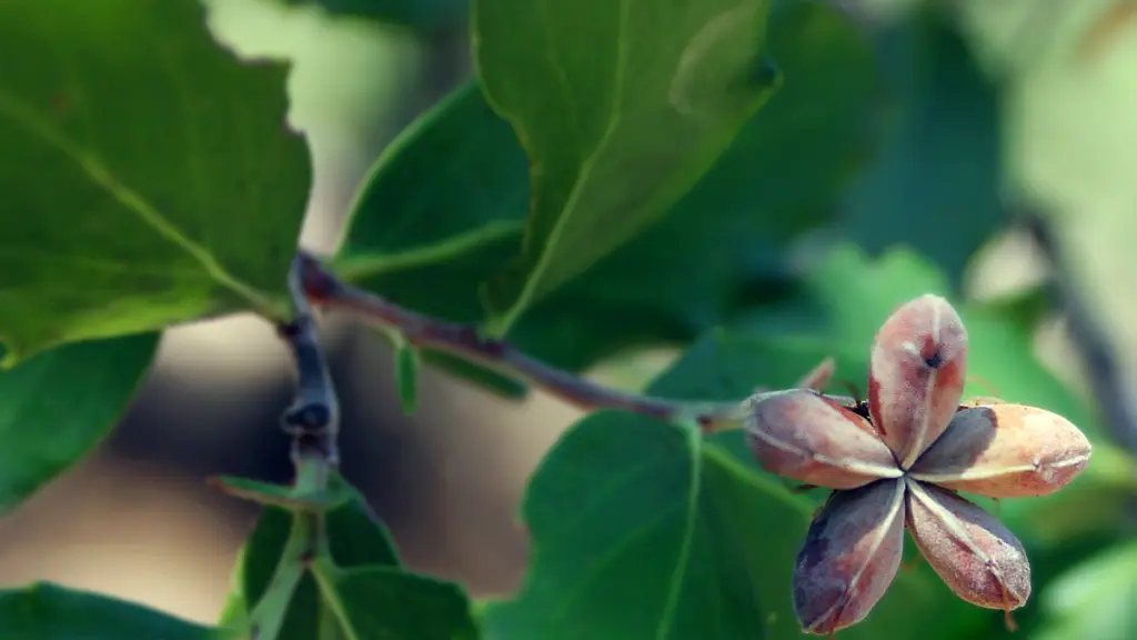 10 fruto 1 ,EntrepreNerd