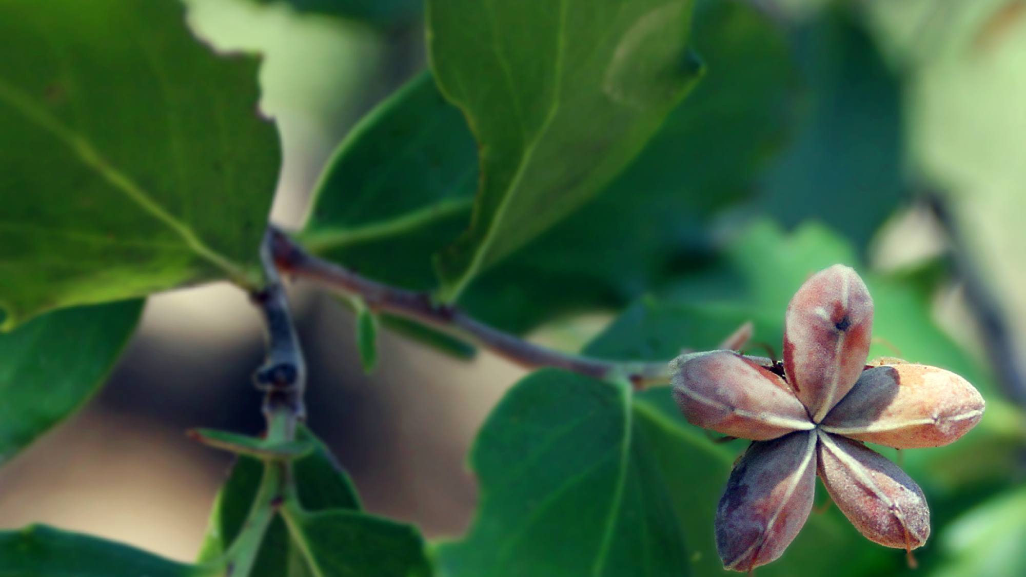 10 fruto 1, EntrepreNerd