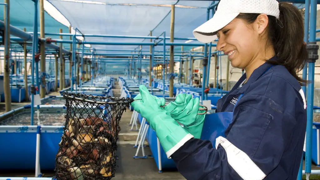 IMG 1426 e1665142101239 ,EntrepreNerd