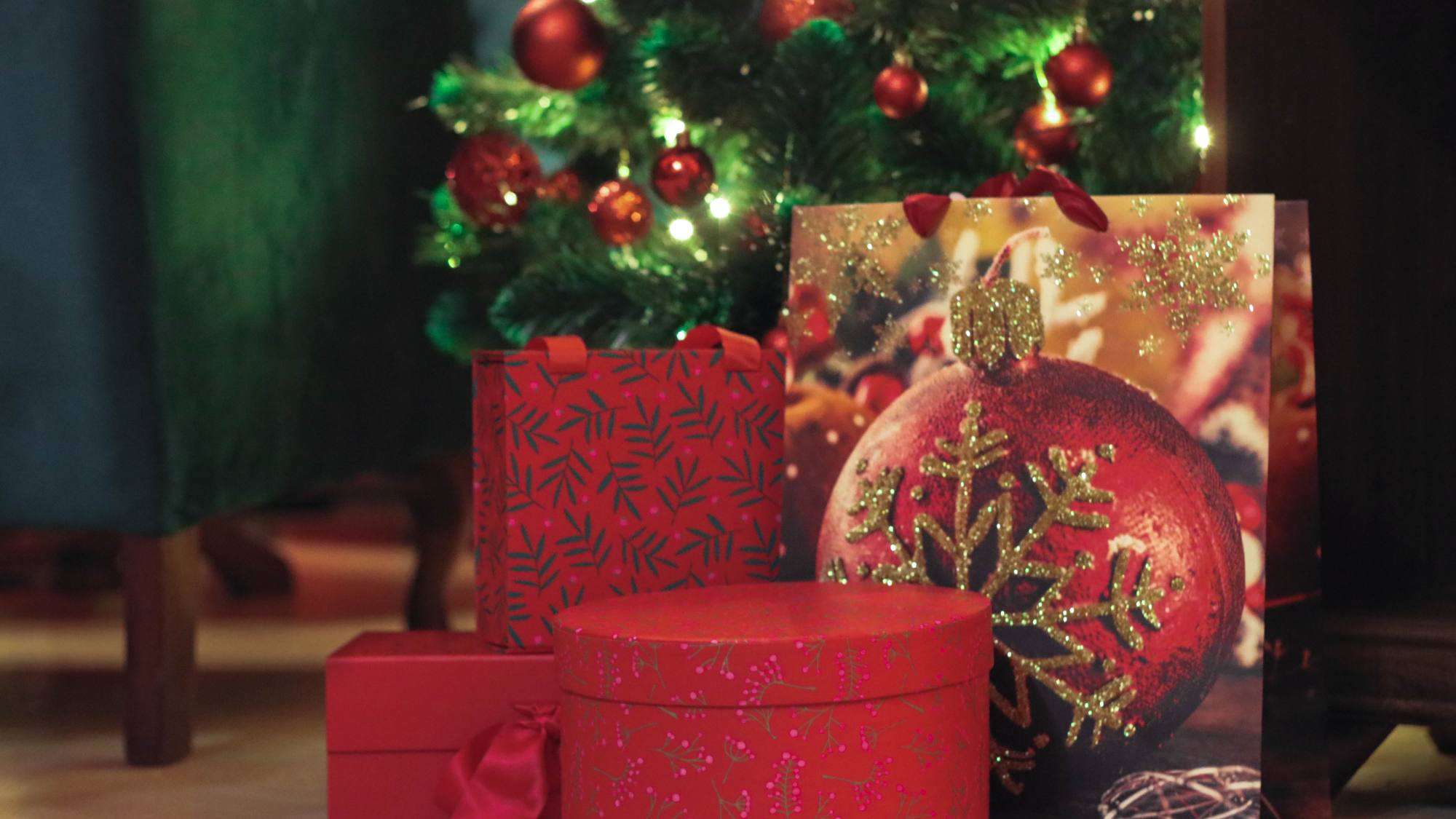 regalonavidad, EntrepreNerd