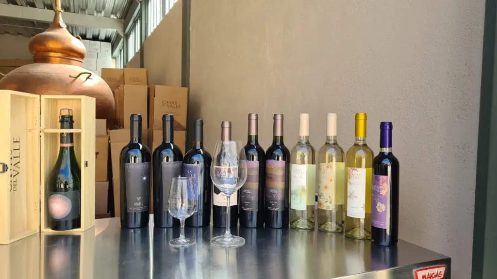 Cavas del Valle 6 ,EntrepreNerd