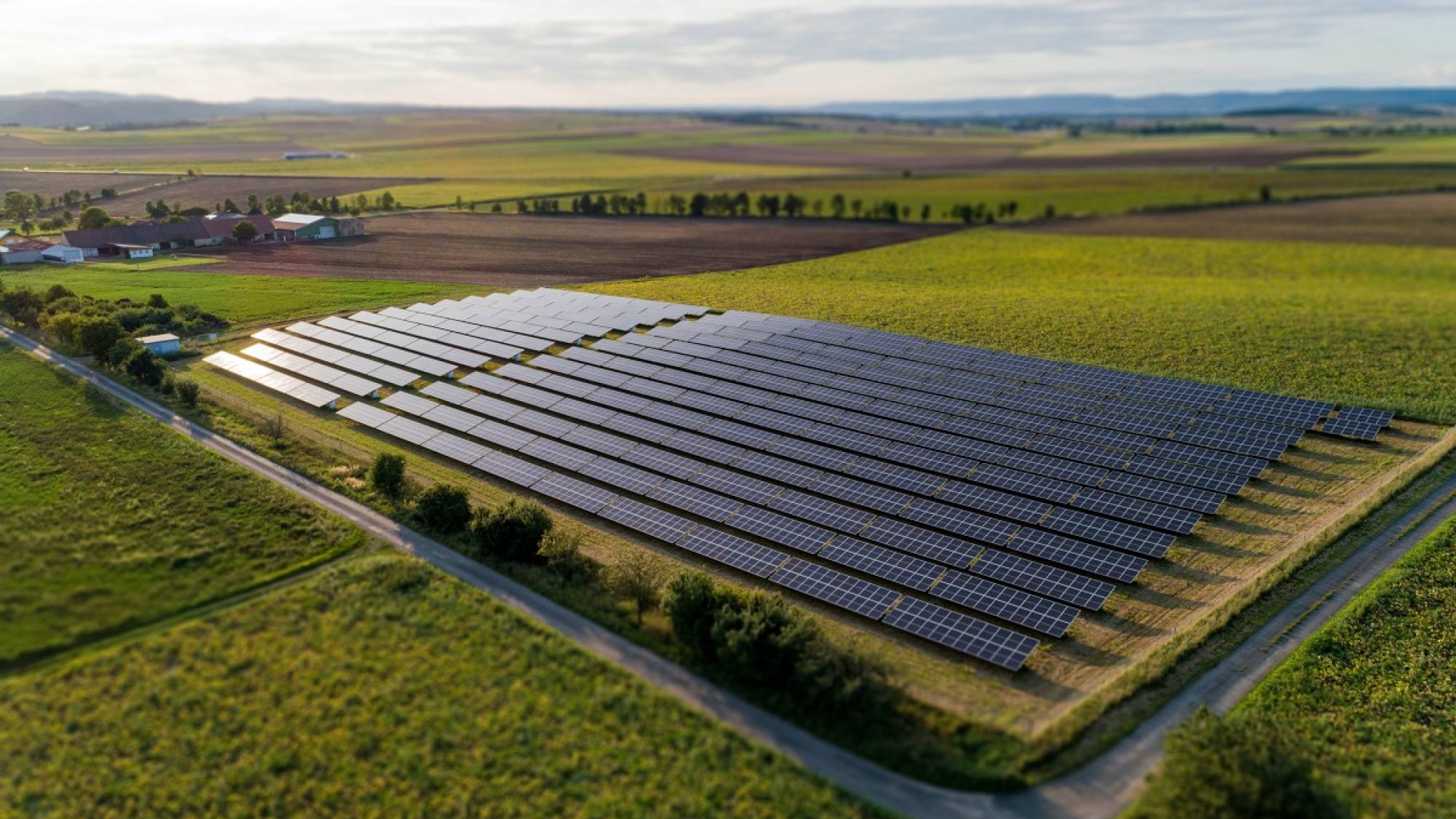 Agrivoltaic 1, EntrepreNerd