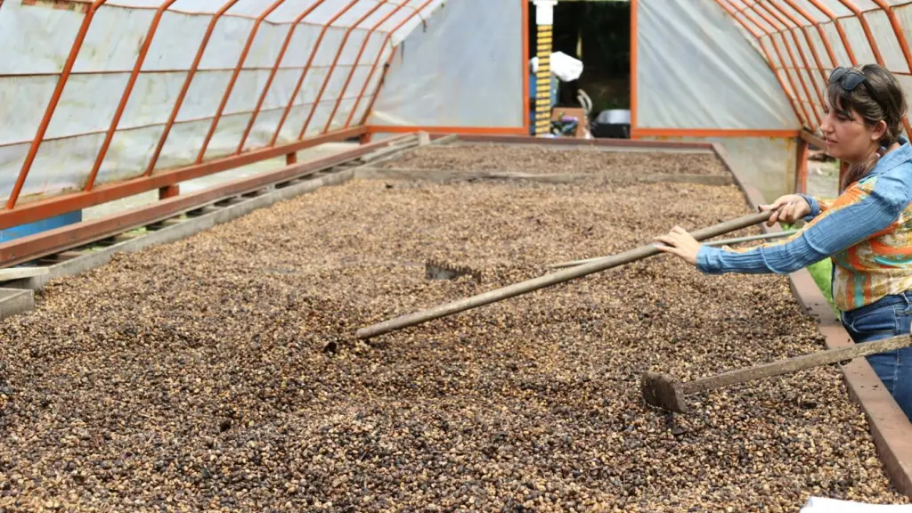 image002 31 ,EntrepreNerd