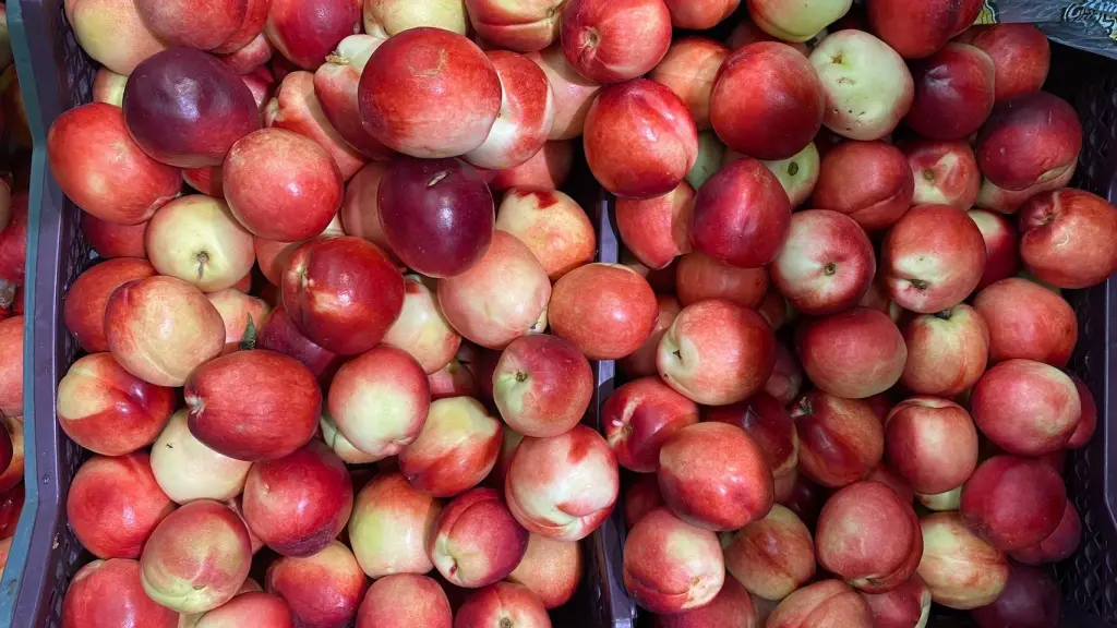 pexels julia lofman 13079636 rotated ,EntrepreNerd