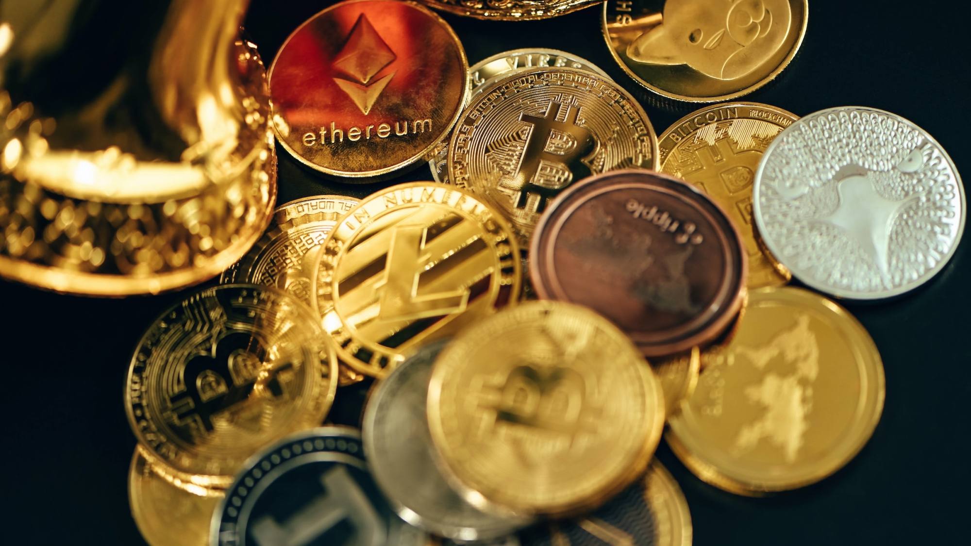 C663EF57 9E35 49A0 89C6 5CD9F2CE5332, EntrepreNerd