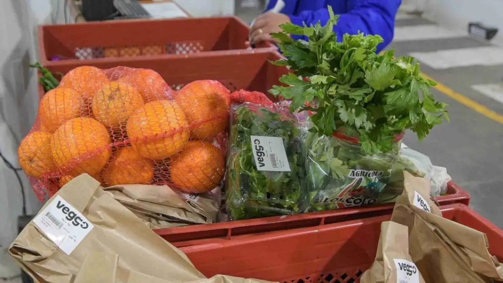 veggo  despacho e1673903023845 ,EntrepreNerd