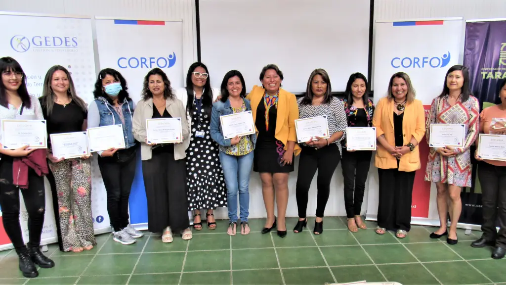 Resumen Corfo 7 ,EntrepreNerd