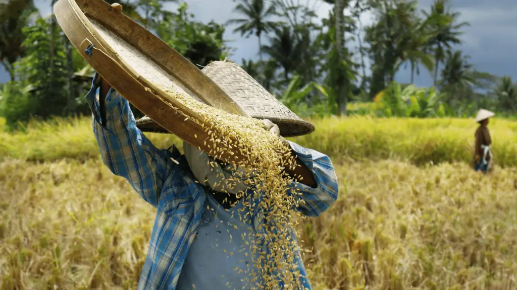 Datachallenge1 ,EntrepreNerd