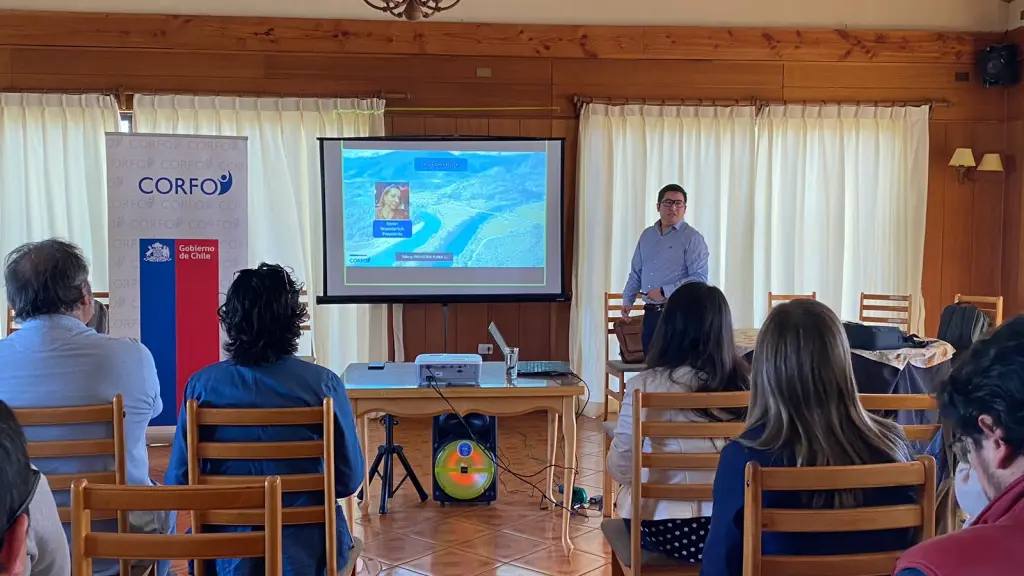 PTI Carne Bovina 2 ,EntrepreNerd