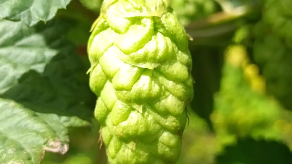 b2b085f3 4029 4ddb 951f 678bf780ab30 e1675343036230 ,EntrepreNerd