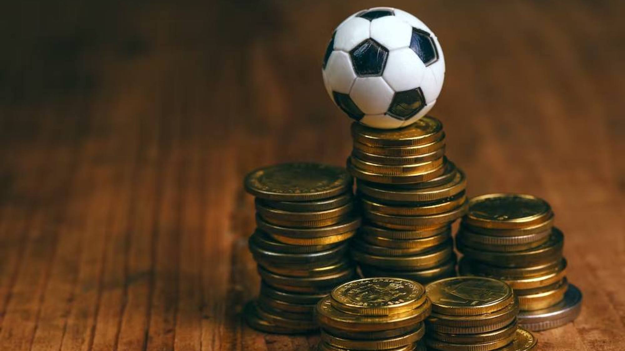 pelota, EntrepreNerd
