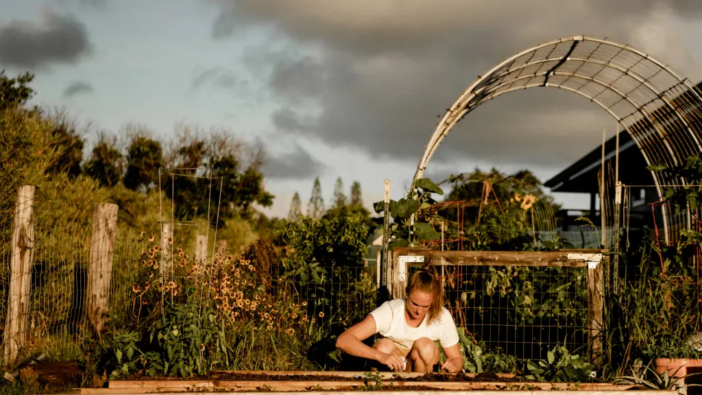 Creditos Bryanna Bradley ,EntrepreNerd