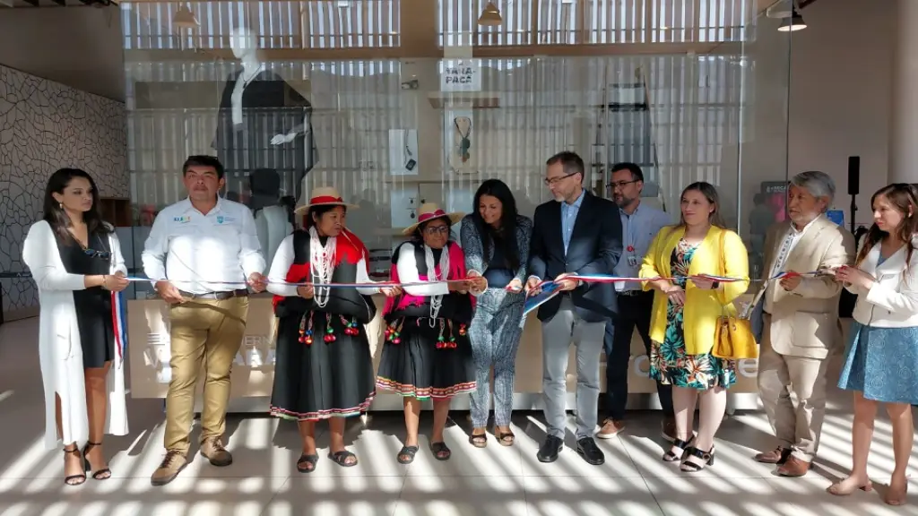 vitrinaweb ProChile ,EntrepreNerd