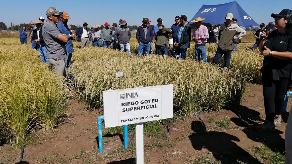 IMG 20230323 123954 ,EntrepreNerd