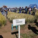 IMG 20230323 123954, EntrepreNerd