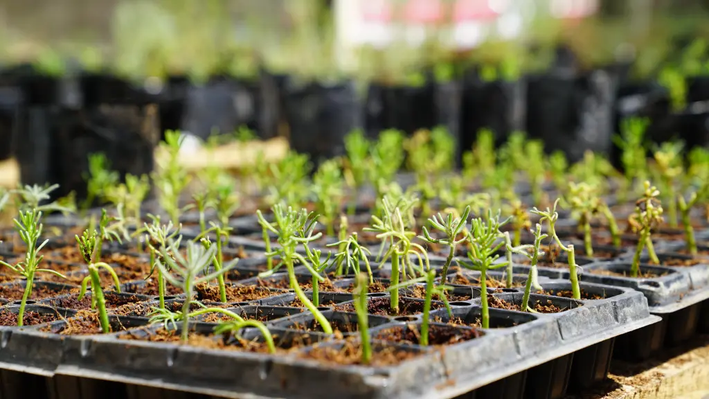 DSC01110 ,EntrepreNerd