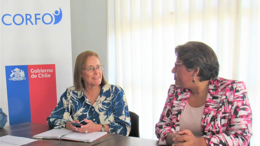 Corfo Incubadora 1 ,EntrepreNerd