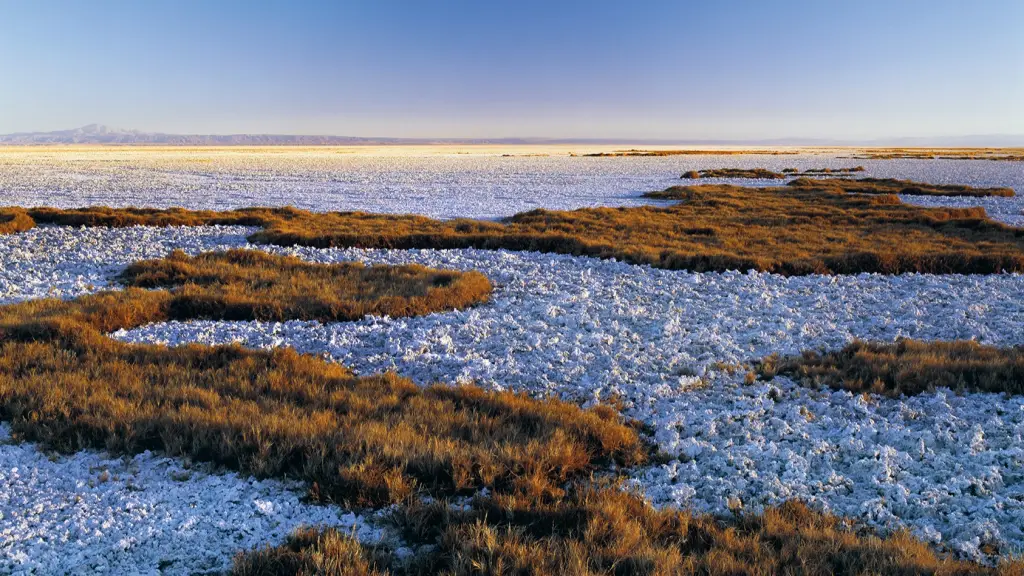 Salar Atacama ,EntrepreNerd