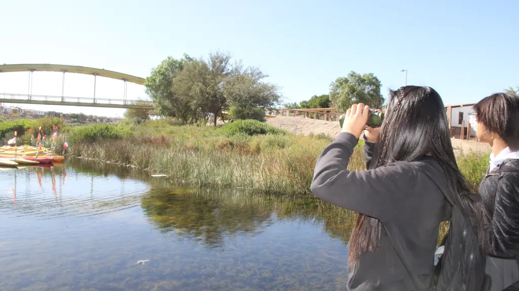 IMG 7149 ,EntrepreNerd